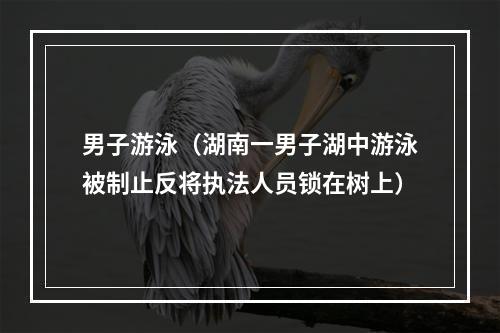 男子游泳（湖南一男子湖中游泳被制止反将执法人员锁在树上）