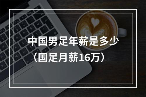 中国男足年薪是多少（国足月薪16万）