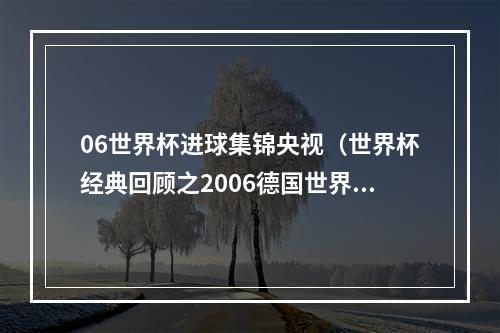 06世界杯进球集锦央视（世界杯经典回顾之2006德国世界杯一蓝色狂想曲）