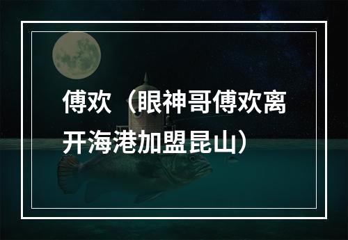 傅欢（眼神哥傅欢离开海港加盟昆山）