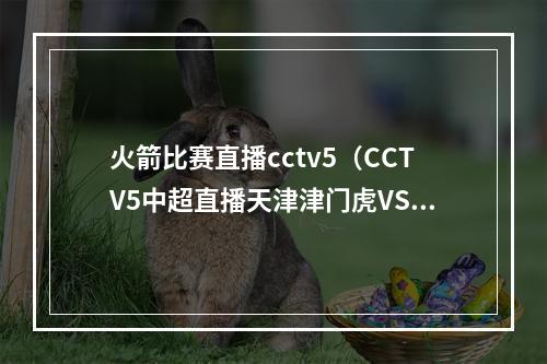 火箭比赛直播cctv5（CCTV5中超直播天津津门虎VS 北京国安中文全程比赛 高清视频）