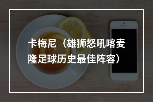 卡梅尼（雄狮怒吼喀麦隆足球历史最佳阵容）