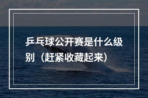 乒乓球公开赛是什么级别（赶紧收藏起来）