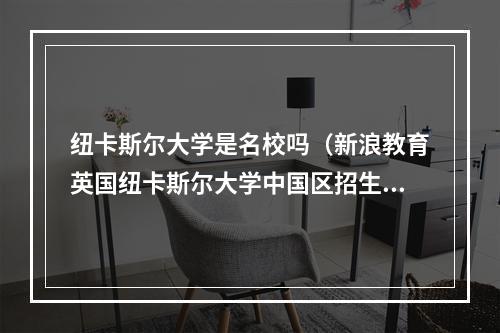 纽卡斯尔大学是名校吗（新浪教育英国纽卡斯尔大学中国区招生官雪婵为何选择Newcastle）