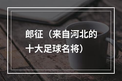郎征（来自河北的十大足球名将）
