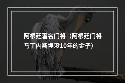 阿根廷著名门将（阿根廷门将马丁内斯埋没10年的金子）