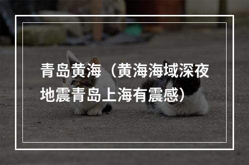 青岛黄海（黄海海域深夜地震青岛上海有震感）