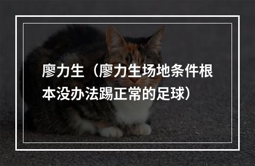廖力生（廖力生场地条件根本没办法踢正常的足球）