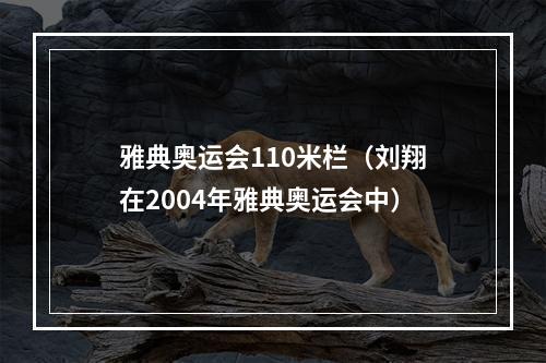 雅典奥运会110米栏（刘翔在2004年雅典奥运会中）