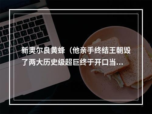 新奥尔良黄蜂（他亲手终结王朝毁了两大历史级超巨终于开口当年不怪我）