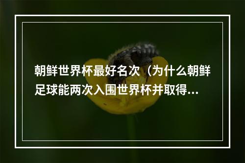 朝鲜世界杯最好名次（为什么朝鲜足球能两次入围世界杯并取得不错的成绩）
