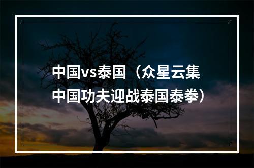 中国vs泰国（众星云集中国功夫迎战泰国泰拳）