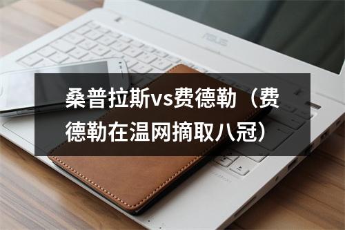 桑普拉斯vs费德勒（费德勒在温网摘取八冠）