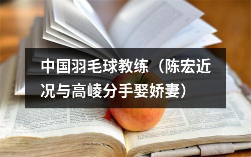 中国羽毛球教练（陈宏近况与高崚分手娶娇妻）