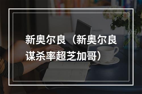 新奥尔良（新奥尔良谋杀率超芝加哥）