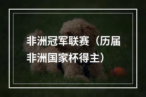 非洲冠军联赛（历届非洲国家杯得主）