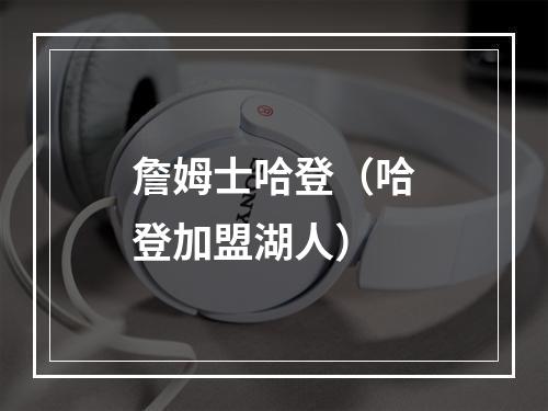 詹姆士哈登（哈登加盟湖人）