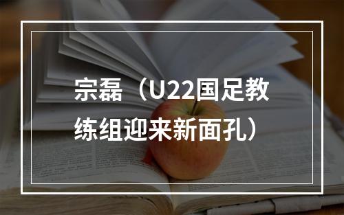 宗磊（U22国足教练组迎来新面孔）