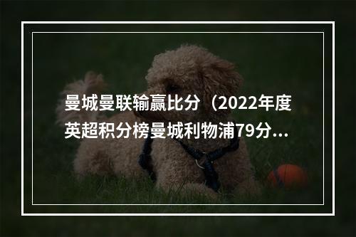曼城曼联输赢比分（2022年度英超积分榜曼城利物浦79分最高 纽卡72分第4 曼联第6）