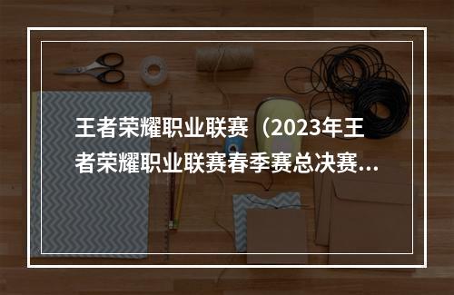 王者荣耀职业联赛（2023年王者荣耀职业联赛春季赛总决赛杭州落幕）