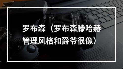 罗布森（罗布森滕哈赫管理风格和爵爷很像）