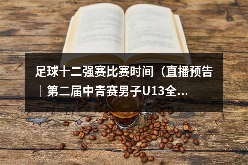 足球十二强赛比赛时间（直播预告｜第二届中青赛男子U13全国总决赛淘汰排位赛第二轮）