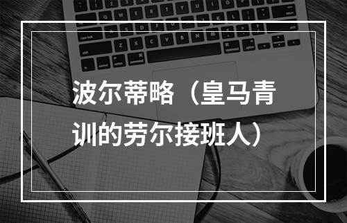 波尔蒂略（皇马青训的劳尔接班人）