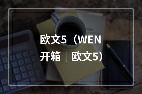 欧文5（WEN开箱｜欧文5）