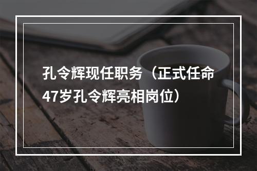 孔令辉现任职务（正式任命47岁孔令辉亮相岗位）