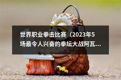 世界职业拳击比赛（2023年5场最令人兴奋的拳坛大战阿瓦雷兹被忽略）