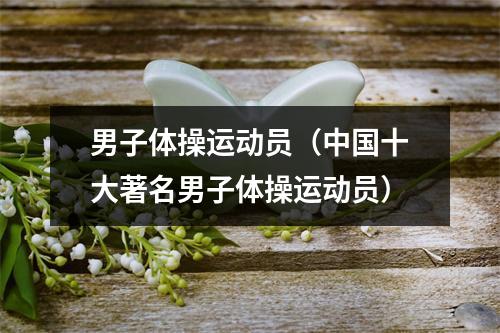男子体操运动员（中国十大著名男子体操运动员）