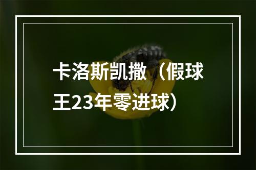 卡洛斯凯撒（假球王23年零进球）