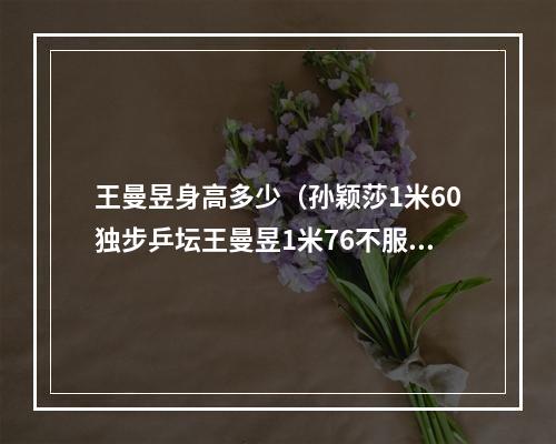 王曼昱身高多少（孙颖莎1米60独步乒坛王曼昱1米76不服二名宿说矮的更厉害）