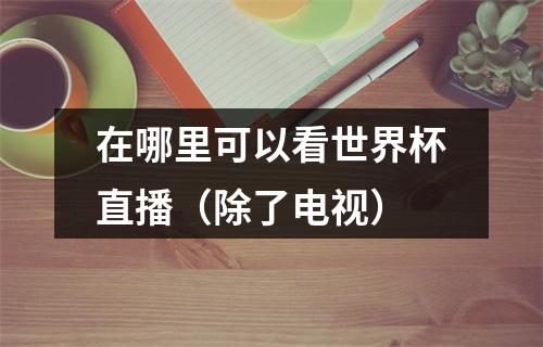 在哪里可以看世界杯直播（除了电视）