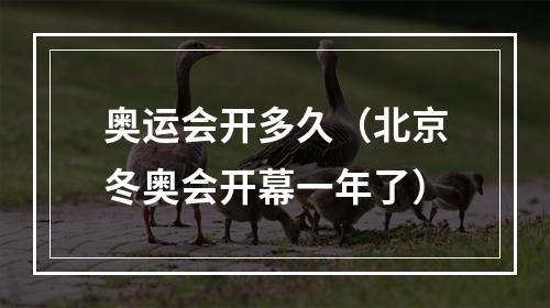 奥运会开多久（北京冬奥会开幕一年了）