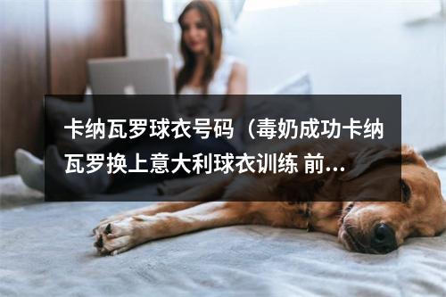 卡纳瓦罗球衣号码（毒奶成功卡纳瓦罗换上意大利球衣训练 前两天一直穿英格兰球衣）