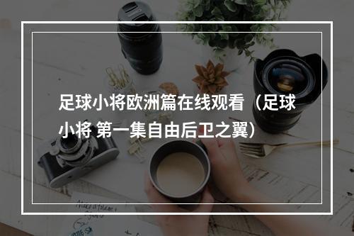 足球小将欧洲篇在线观看（足球小将 第一集自由后卫之翼）