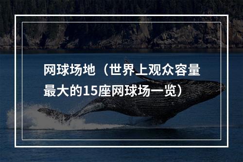 网球场地（世界上观众容量最大的15座网球场一览）