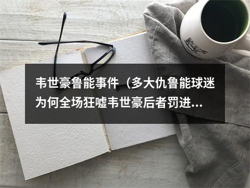 韦世豪鲁能事件（多大仇鲁能球迷为何全场狂嘘韦世豪后者罚进点球还朝球迷挥拳）