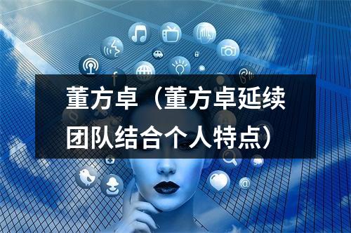 董方卓（董方卓延续团队结合个人特点）