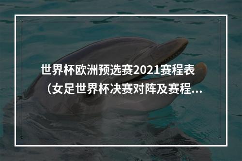 世界杯欧洲预选赛2021赛程表（女足世界杯决赛对阵及赛程出炉）