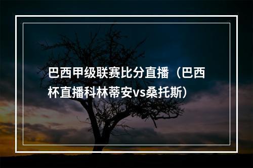 巴西甲级联赛比分直播（巴西杯直播科林蒂安vs桑托斯）