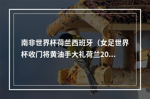 南非世界杯荷兰西班牙（女足世界杯收门将黄油手大礼荷兰20淘汰南非）