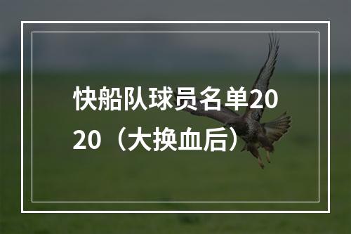快船队球员名单2020（大换血后）