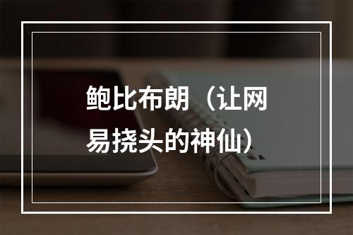 鲍比布朗（让网易挠头的神仙）