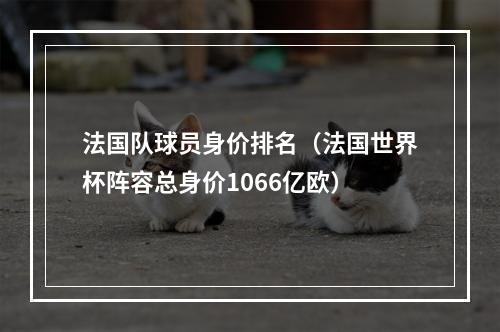 法国队球员身价排名（法国世界杯阵容总身价1066亿欧）