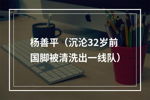 杨善平（沉沦32岁前国脚被清洗出一线队）