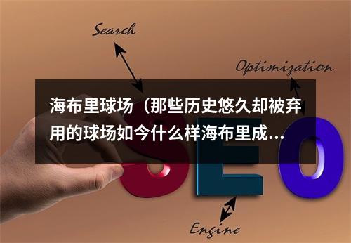 海布里球场（那些历史悠久却被弃用的球场如今什么样海布里成高级公寓）