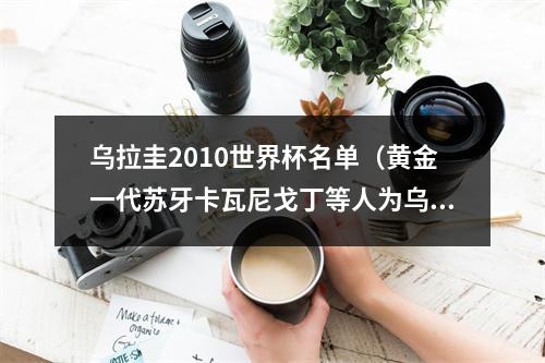 乌拉圭2010世界杯名单（黄金一代苏牙卡瓦尼戈丁等人为乌拉圭连续出征4届世界杯）