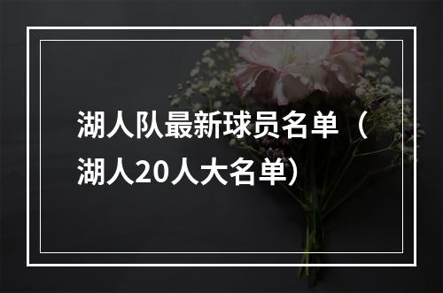 湖人队最新球员名单（湖人20人大名单）